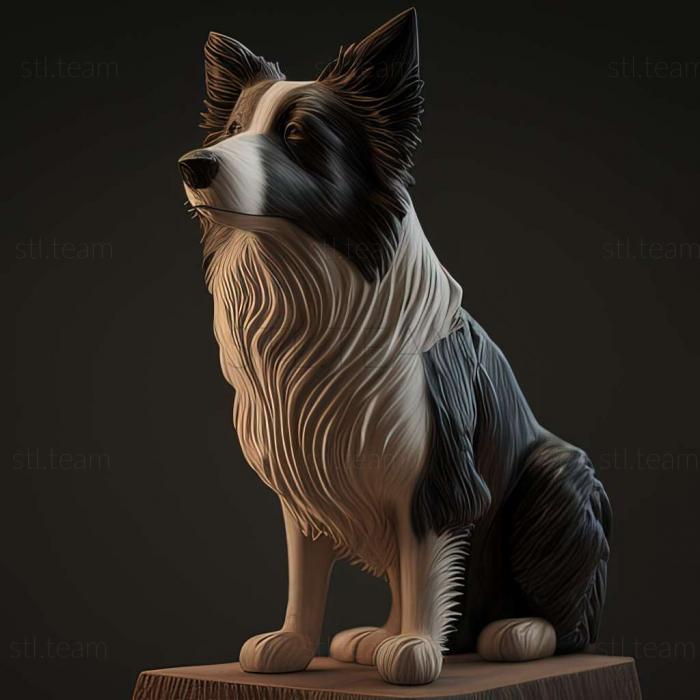 3D модель Бордер коллі собака (STL)